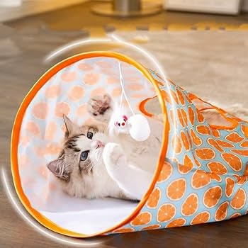 PawChute